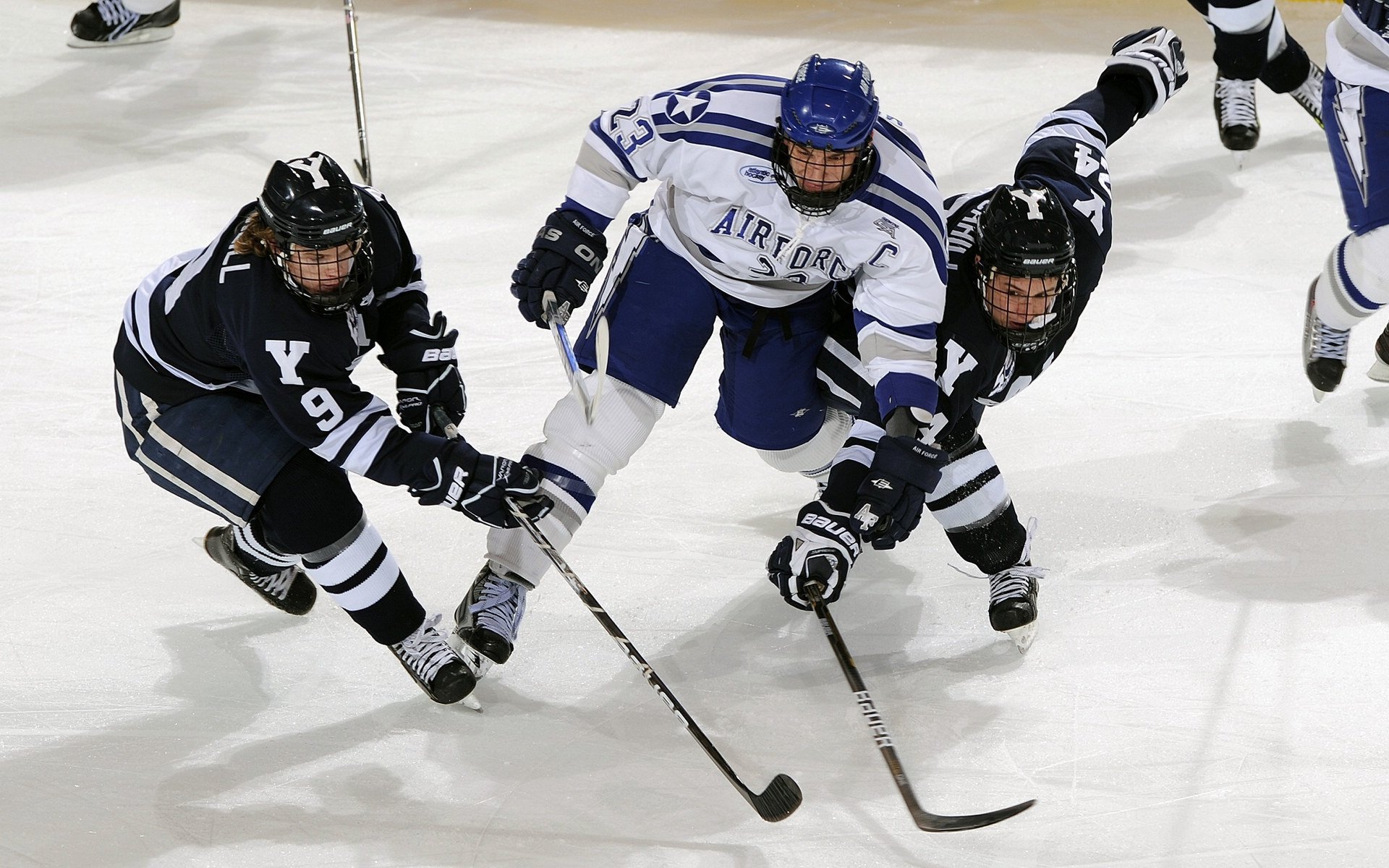 开云下载-中国青少年篮球行业标准体系全面升级，行业规范化迈出坚实步伐