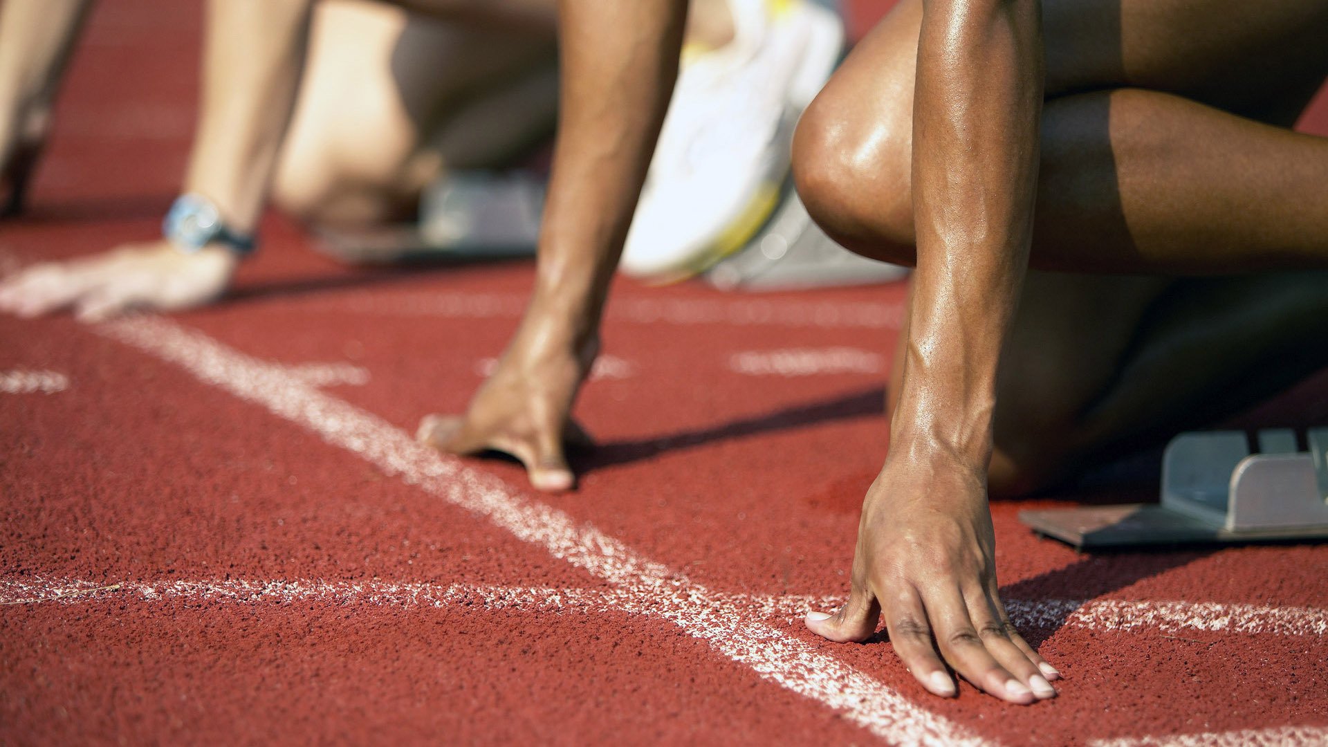 哥伦比亚马术协会设立马匹福利基金，支持马匹退休生活。，哥伦比亚马拉松